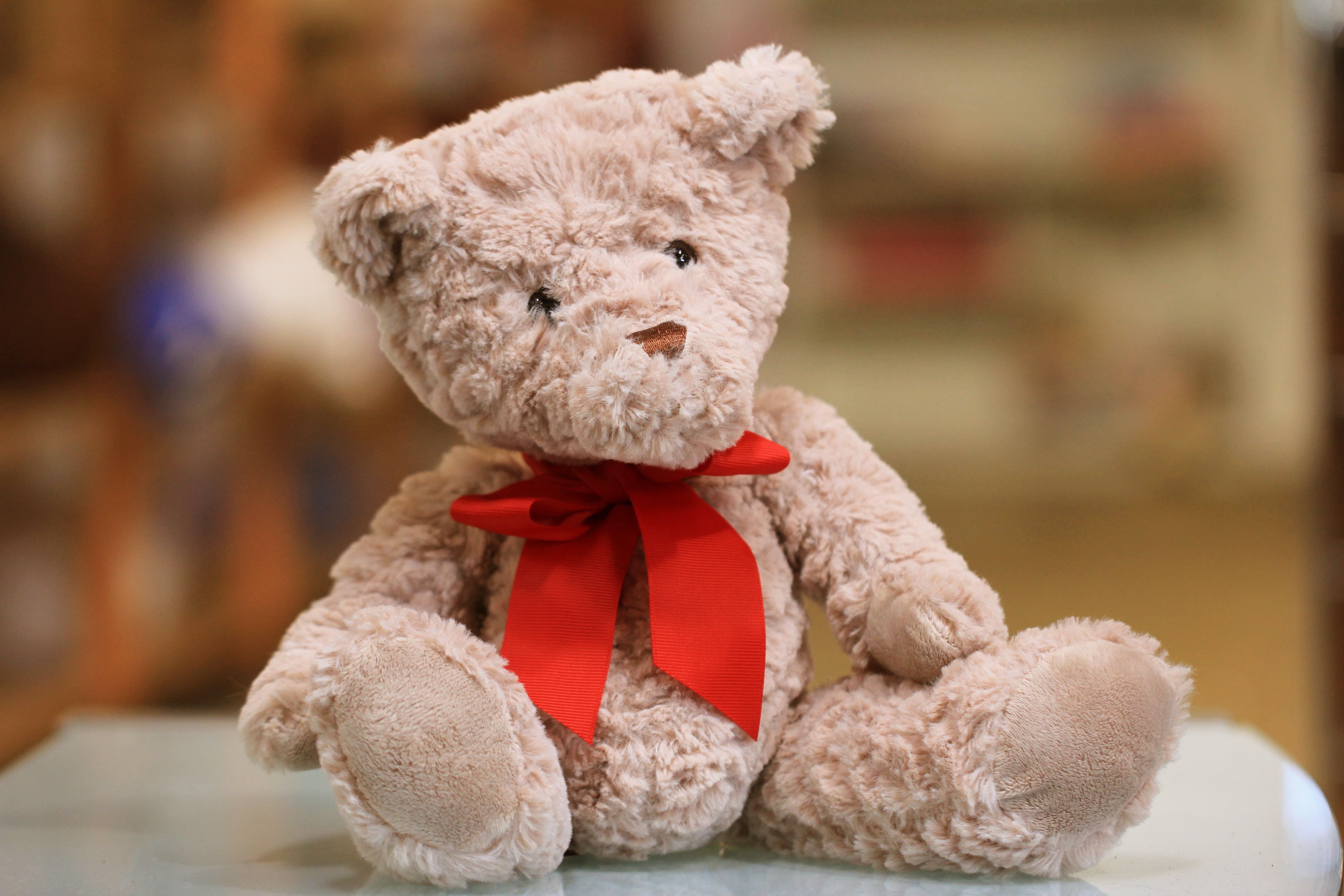 A cute stuffed teddy bear